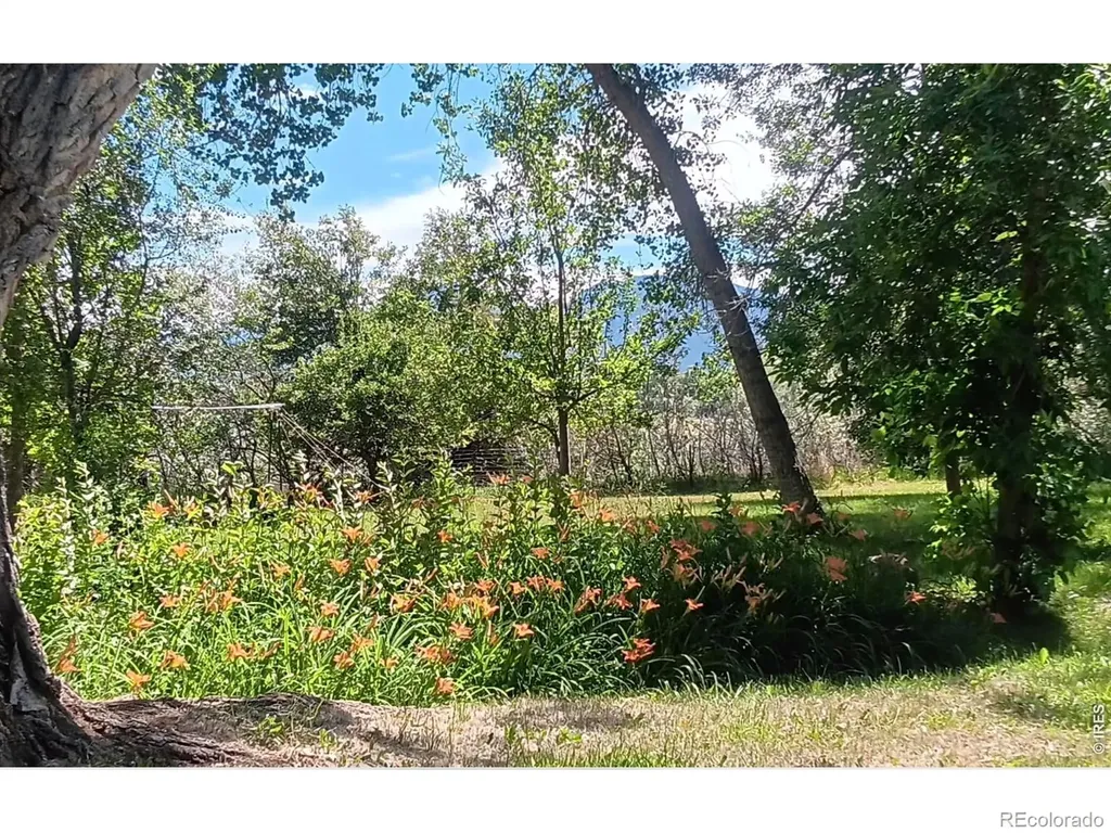 3990 Pleasant Ridge Road Boulder CO 80301