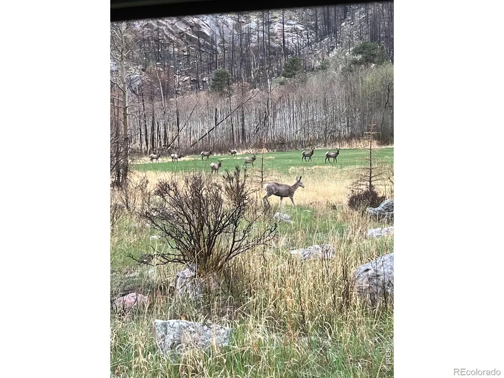 44174 Poudre Canyon Road Bellvue CO 80512