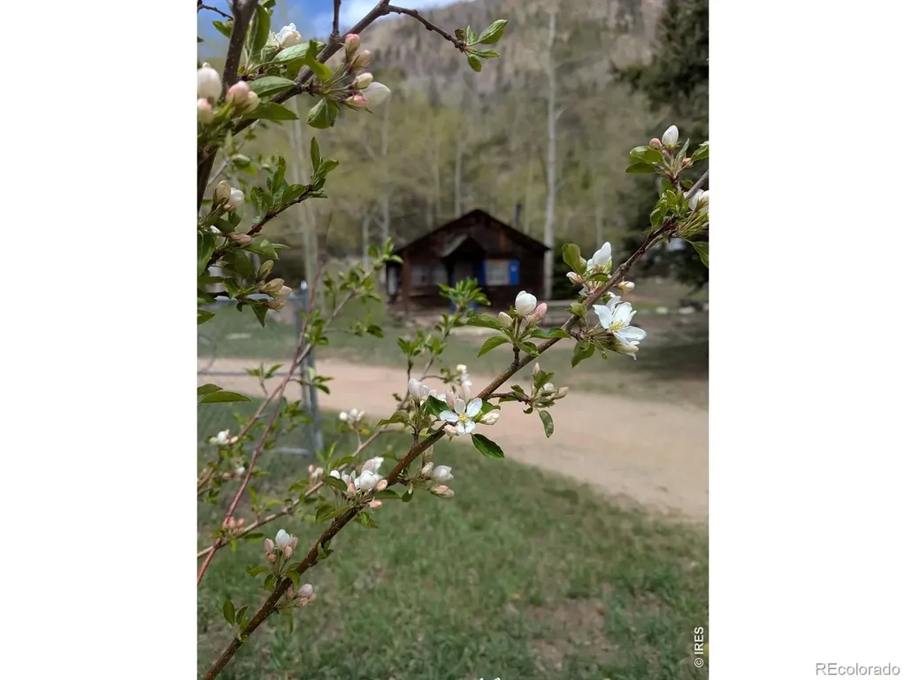 44174 Poudre Canyon Road Bellvue CO 80512