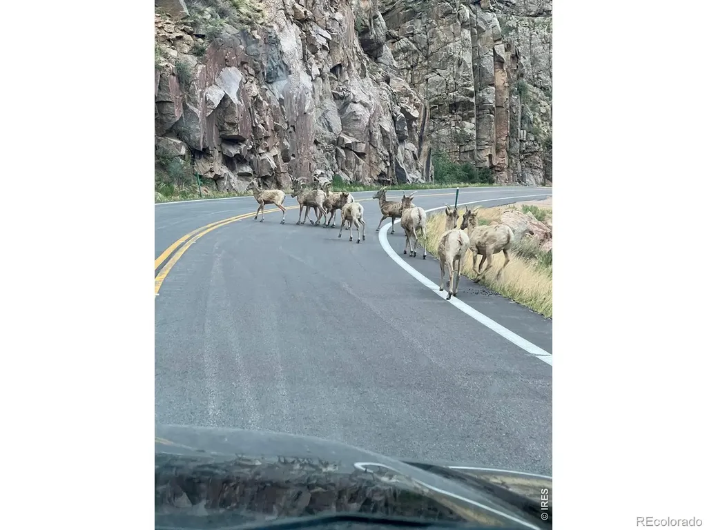 44174 Poudre Canyon Road Bellvue CO 80512