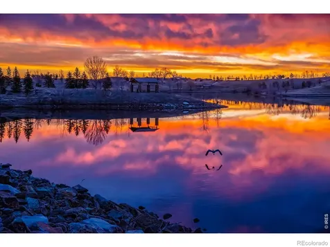 16005 Quandary Loop Broomfield CO 80023