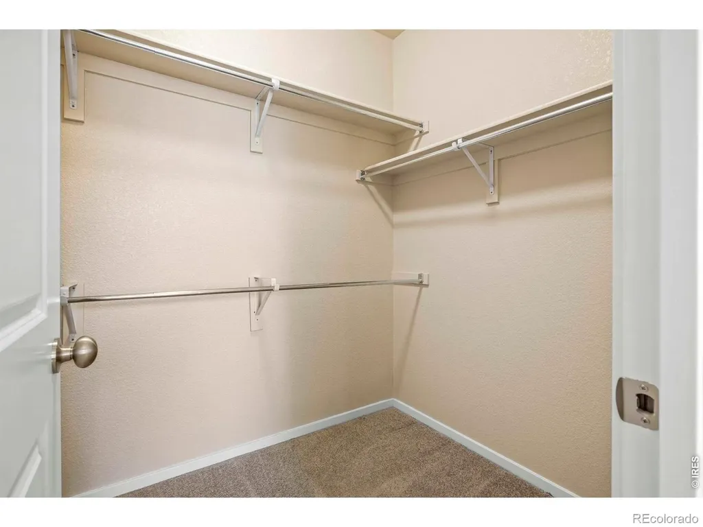3166 Carney Street Loveland CO 80538