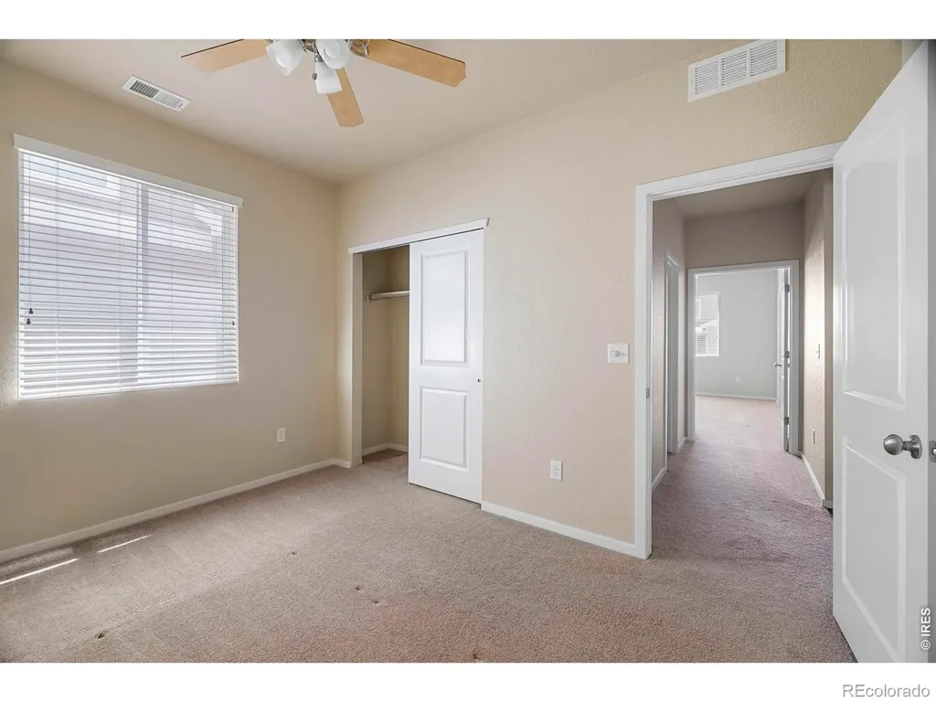 3166 Carney Street Loveland CO 80538