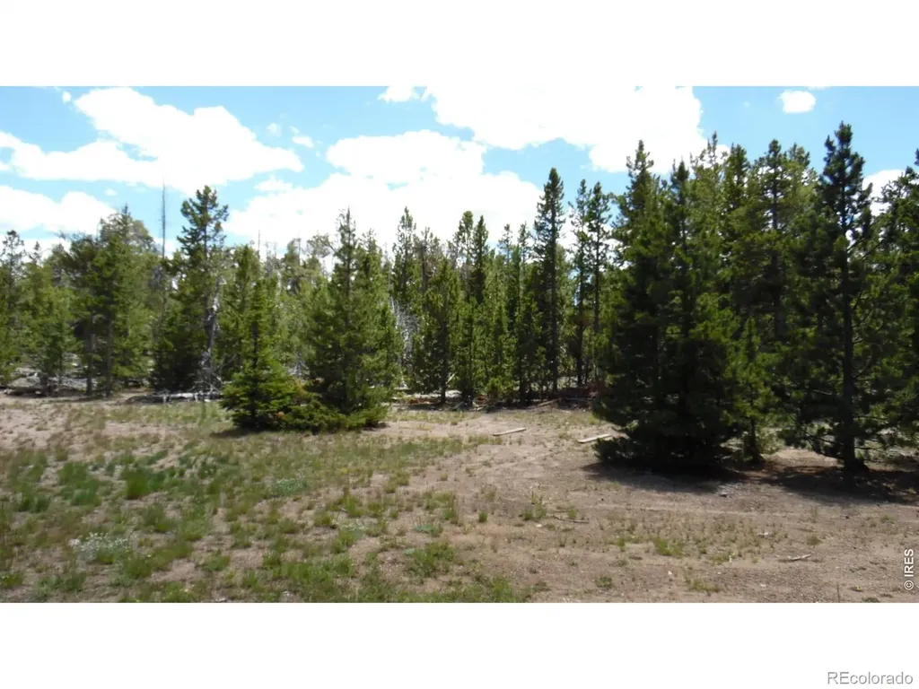 350 Natchez Circle Red Feather Lakes CO 80545