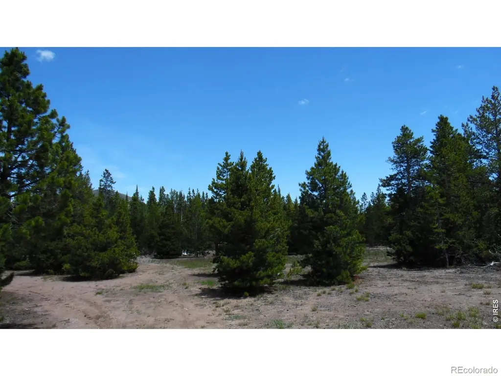 350 Natchez Circle Red Feather Lakes CO 80545