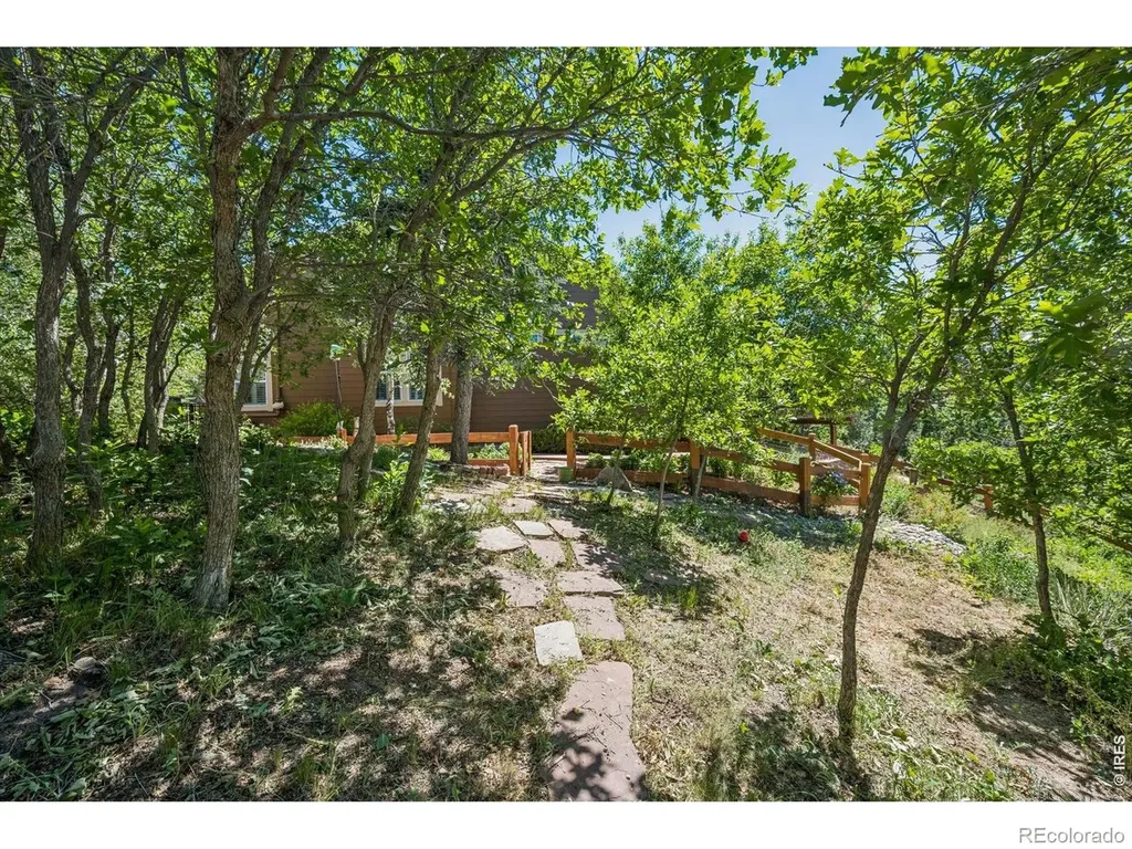 1505 Stonehill Court Castle Rock CO 80104