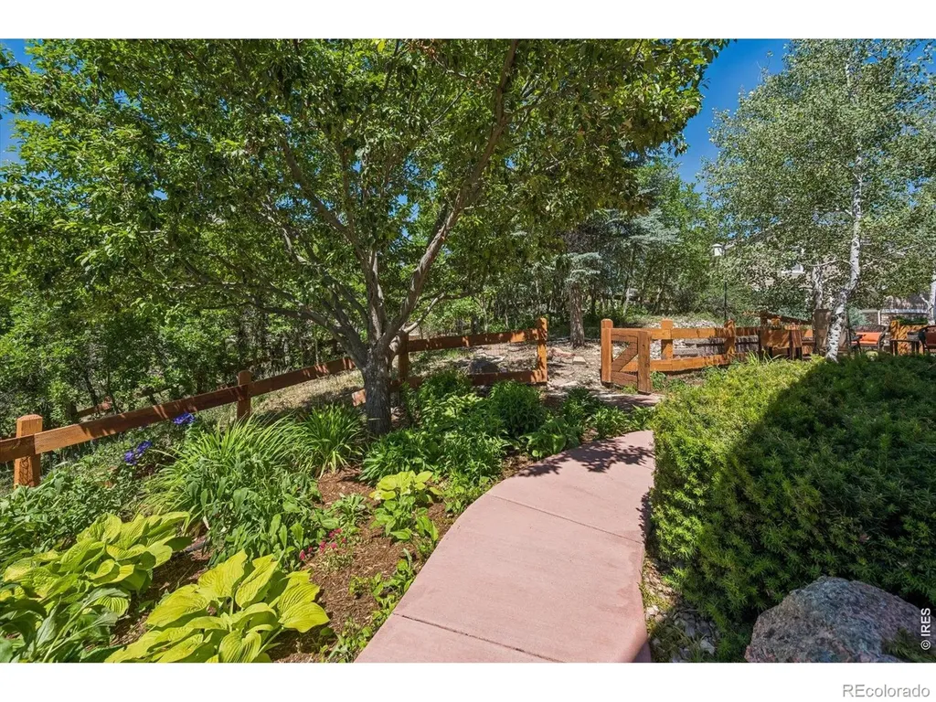 1505 Stonehill Court Castle Rock CO 80104