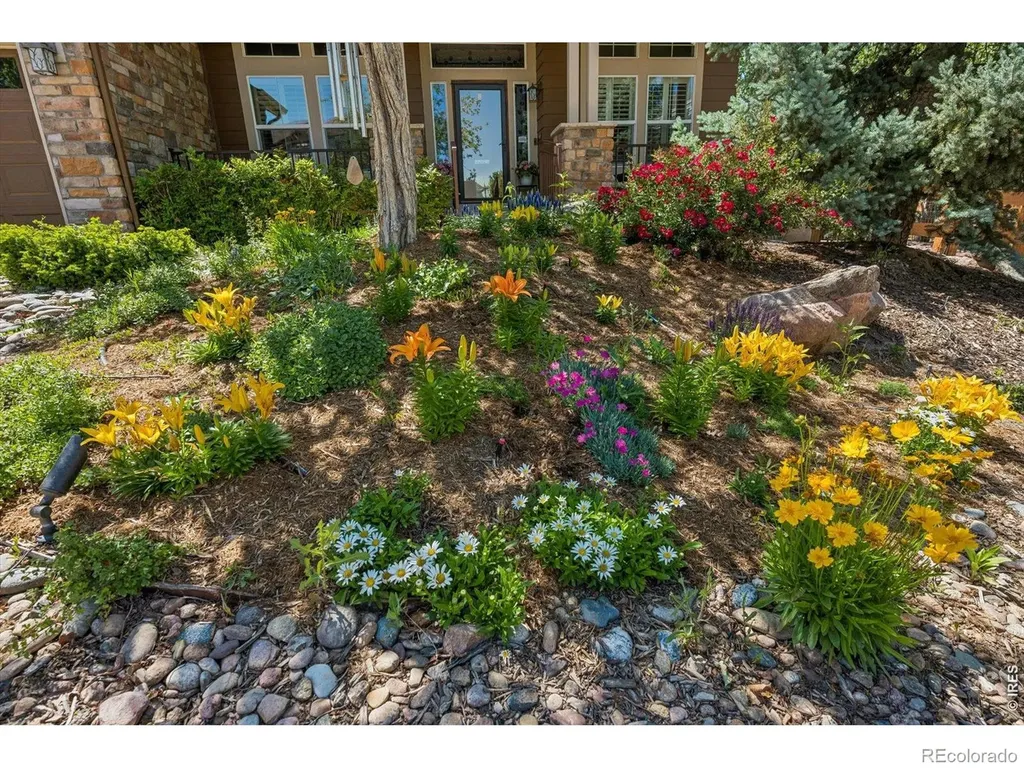 1505 Stonehill Court Castle Rock CO 80104