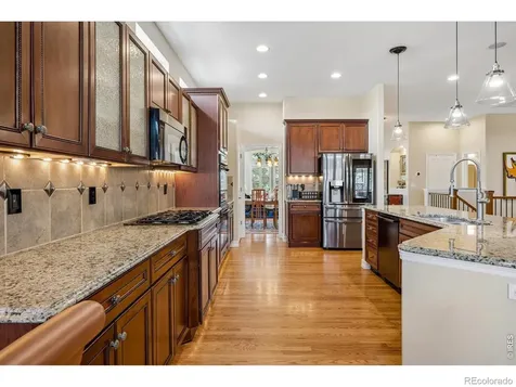 1505 Stonehill Court Castle Rock CO 80104