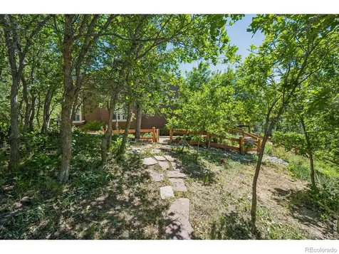 1505 Stonehill Court Castle Rock CO 80104