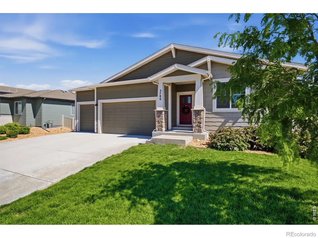 3786 Sweetgum Street Wellington CO 80549
