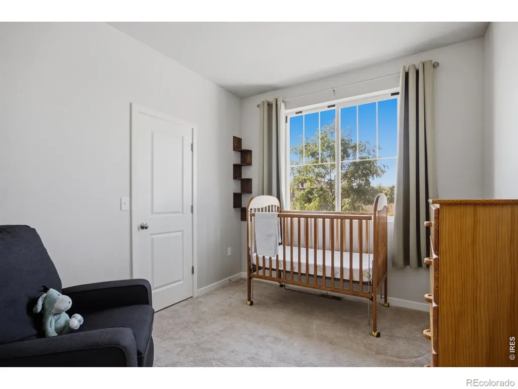 3786 Sweetgum Street Wellington CO 80549