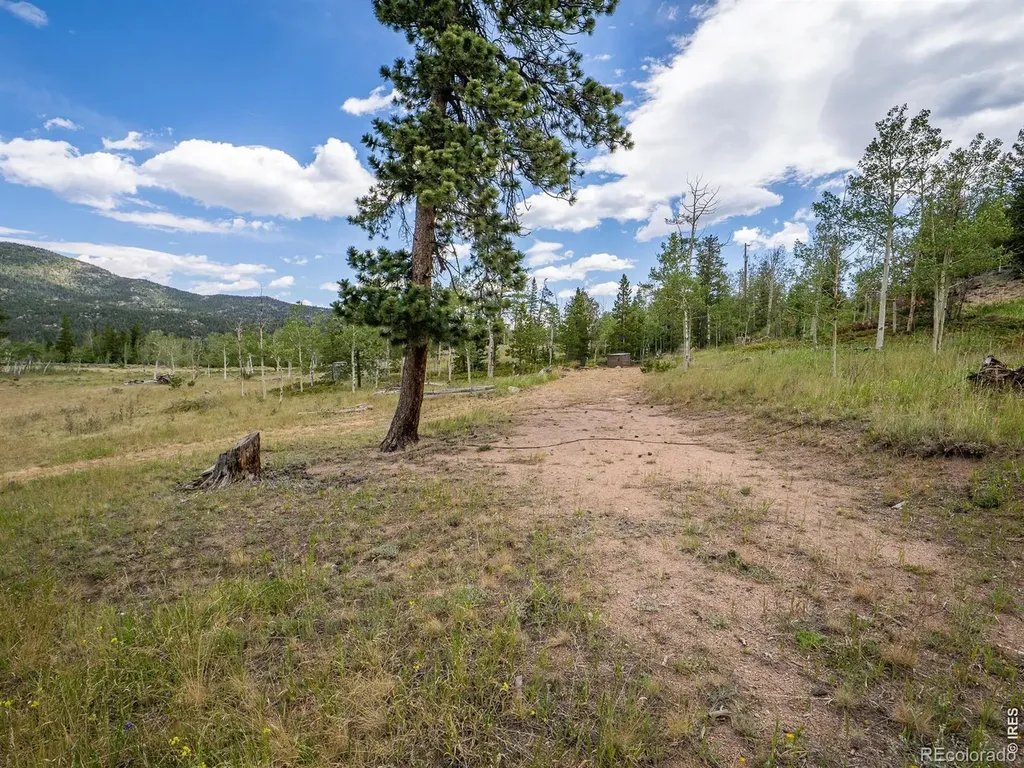 22 Tami Road Red Feather Lakes CO 80545