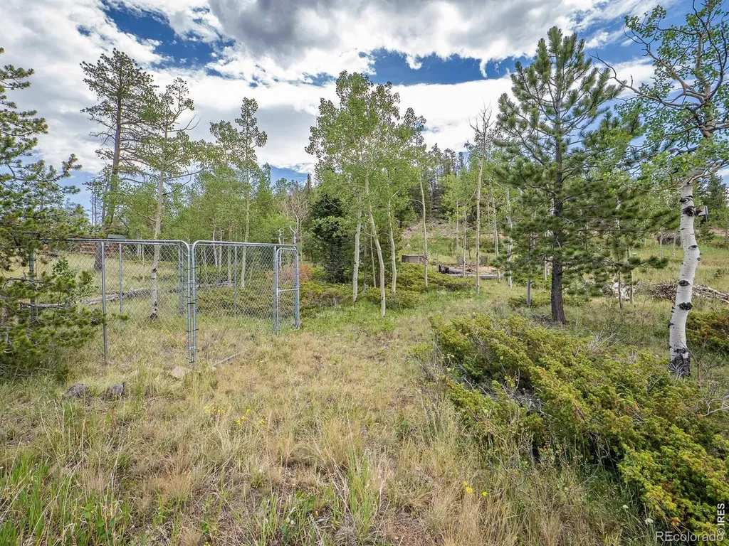 22 Tami Road Red Feather Lakes CO 80545