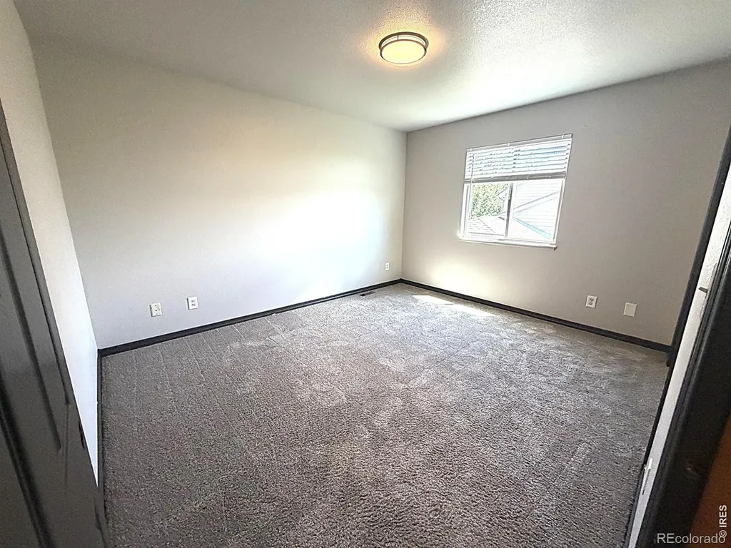 3243 Ambush Drive Wellington CO 80549