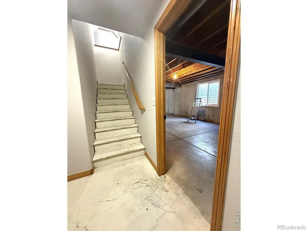 3243 Ambush Drive Wellington CO 80549