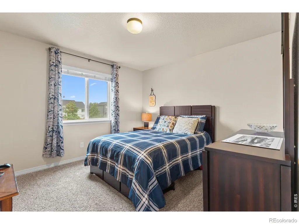 562 Dakota Court Windsor CO 80550