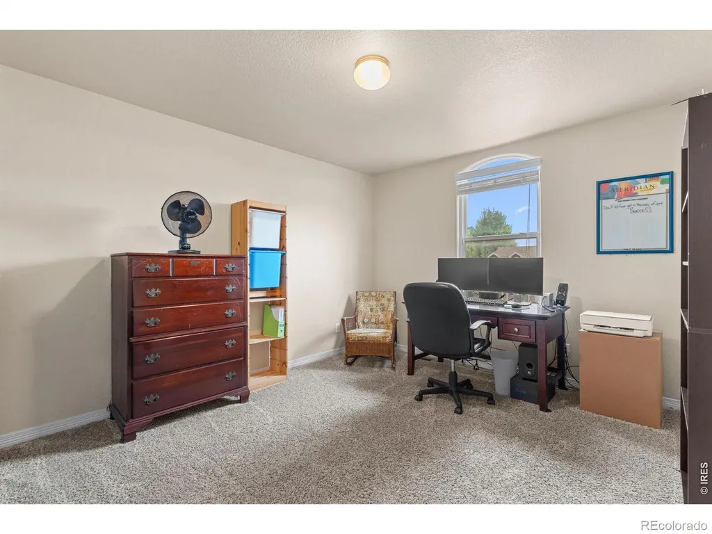 562 Dakota Court Windsor CO 80550