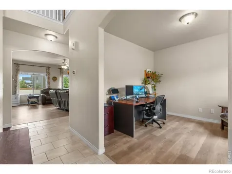 562 Dakota Court Windsor CO 80550