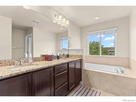 562 Dakota Court Windsor CO 80550