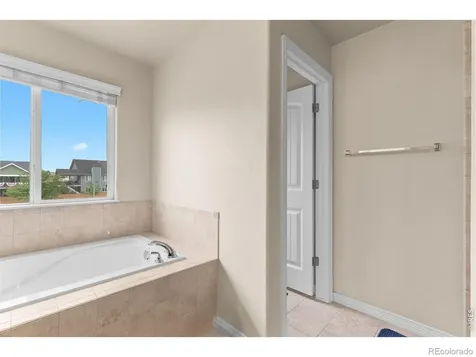562 Dakota Court Windsor CO 80550