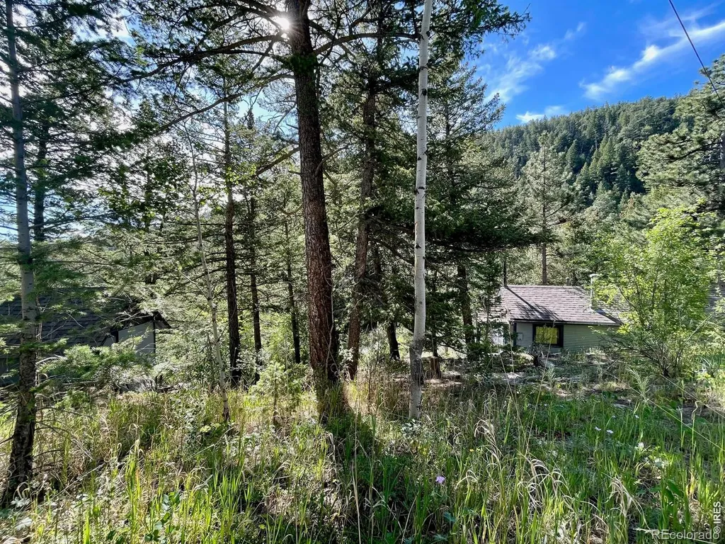 10763 Twin Spruce Road Golden CO 80403