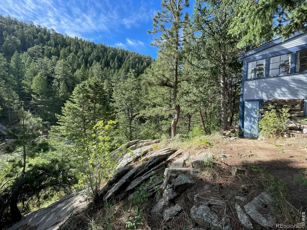 10763 Twin Spruce Road Golden CO 80403