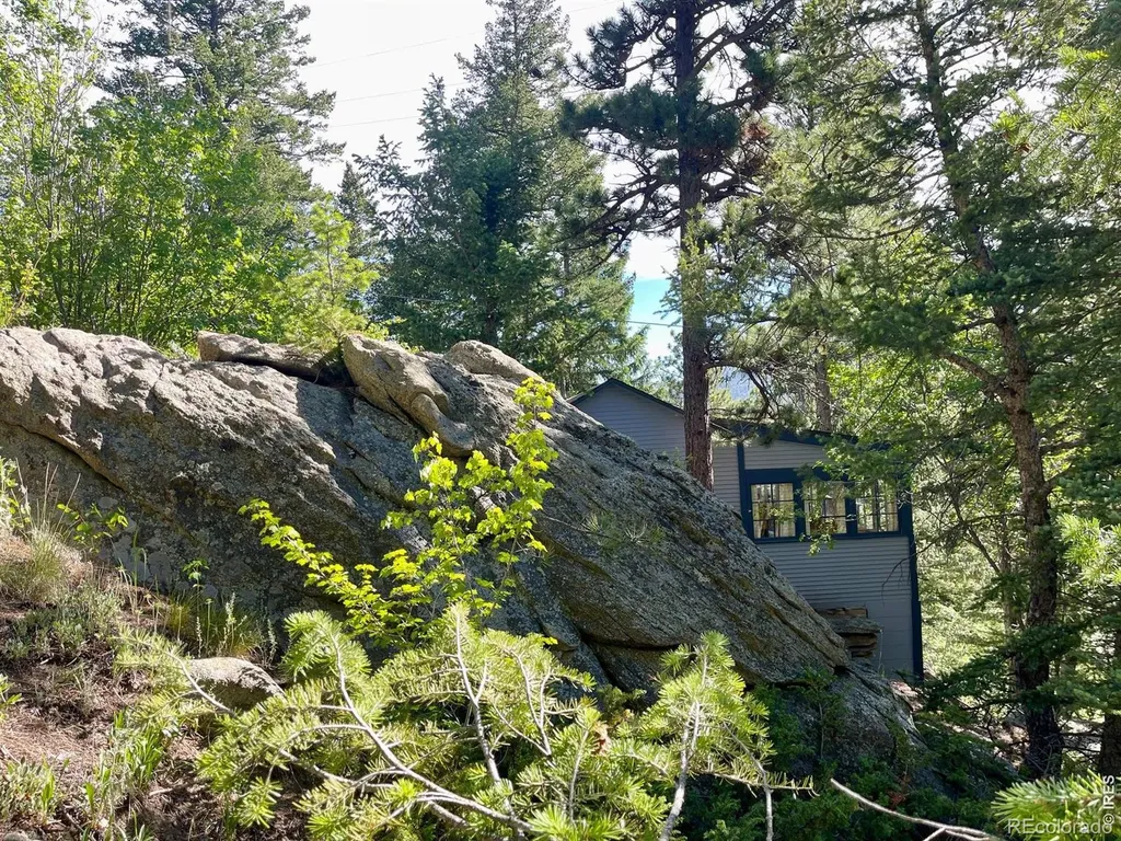 10763 Twin Spruce Road Golden CO 80403