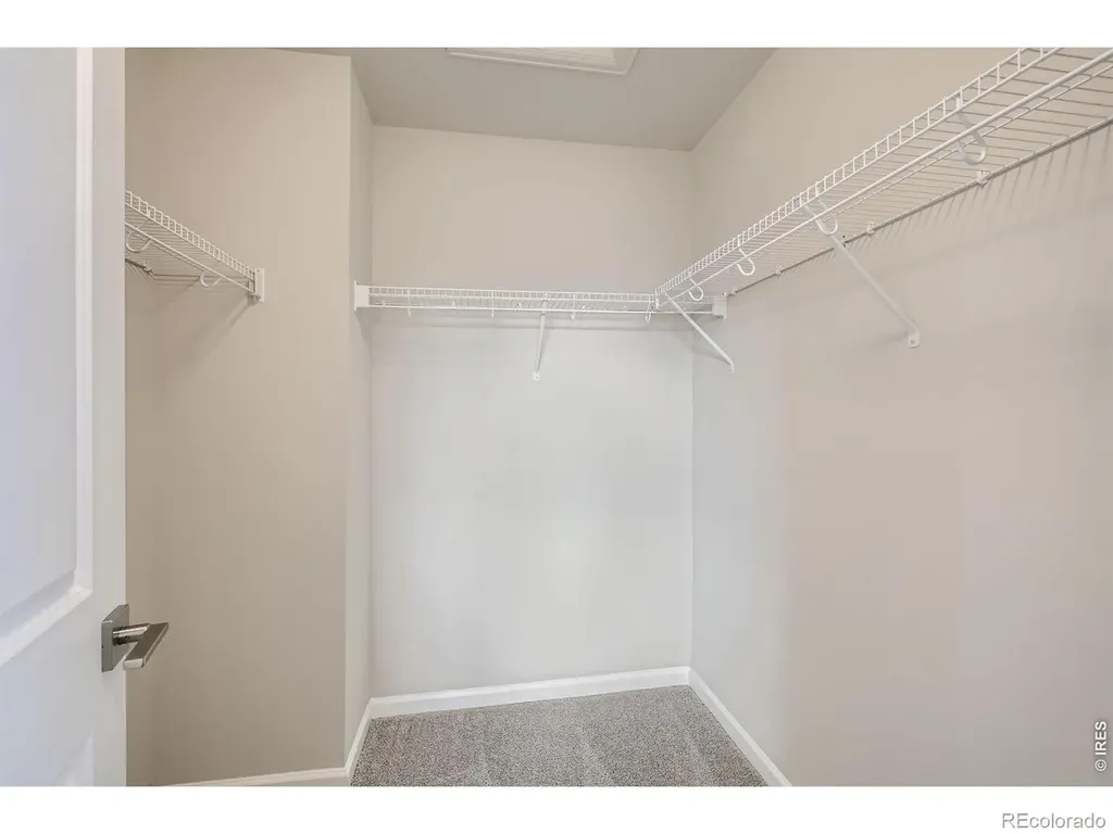 927 Nettle Lane Fort Collins CO 80524