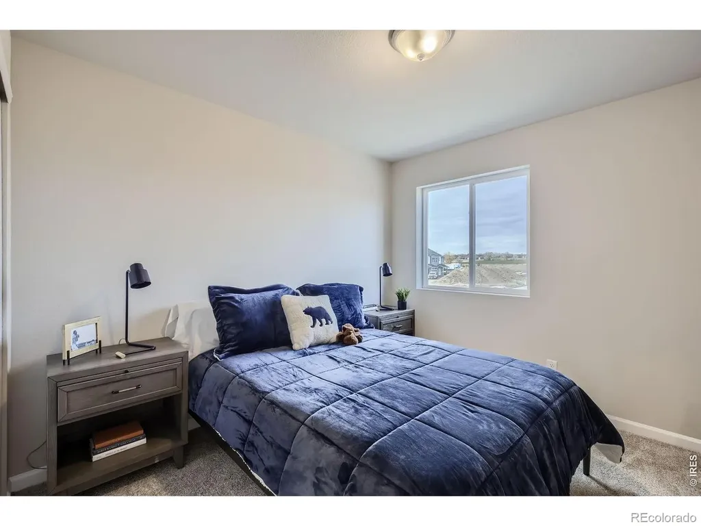 927 Nettle Lane Fort Collins CO 80524