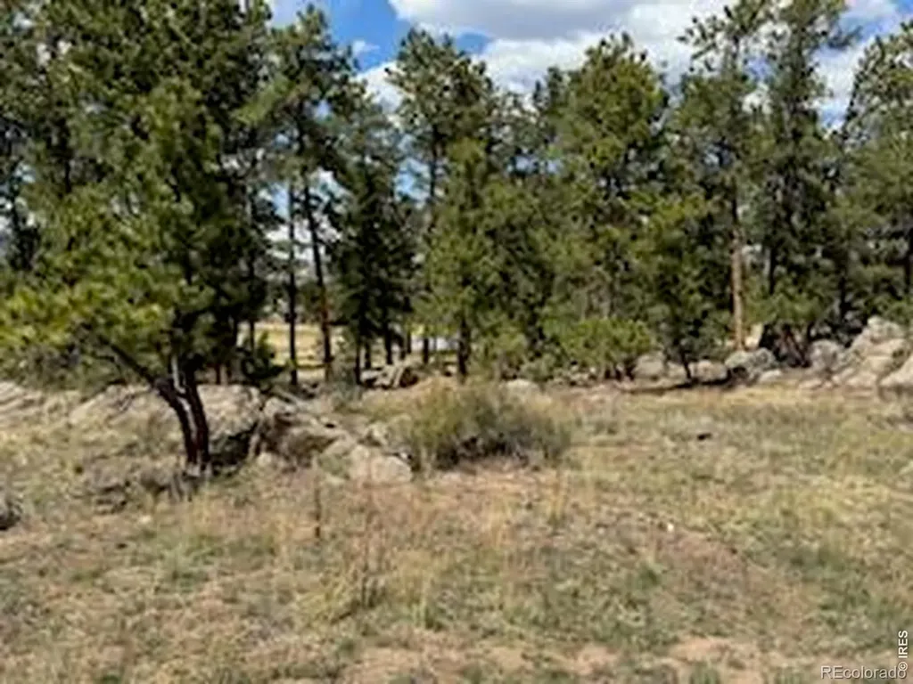 2215 Fox Acres Drive E Red Feather Lakes CO 80545