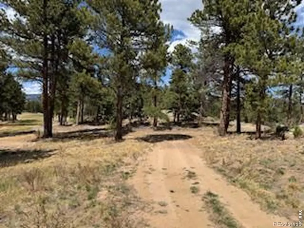 2215 Fox Acres Drive E Red Feather Lakes CO 80545