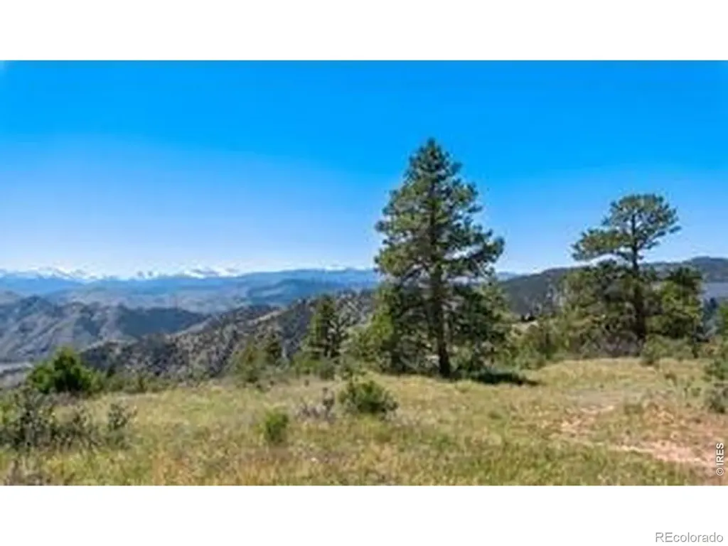 94 Culebra Peak Court Livermore CO 80536