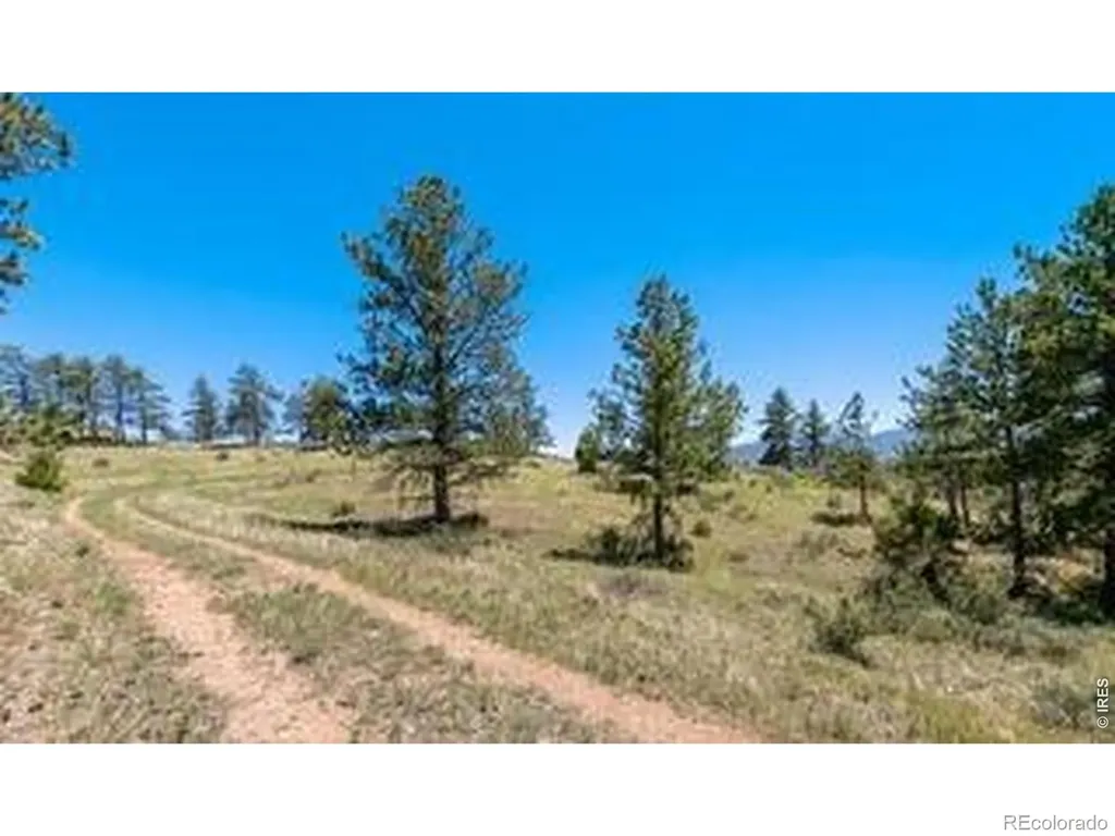 94 Culebra Peak Court Livermore CO 80536