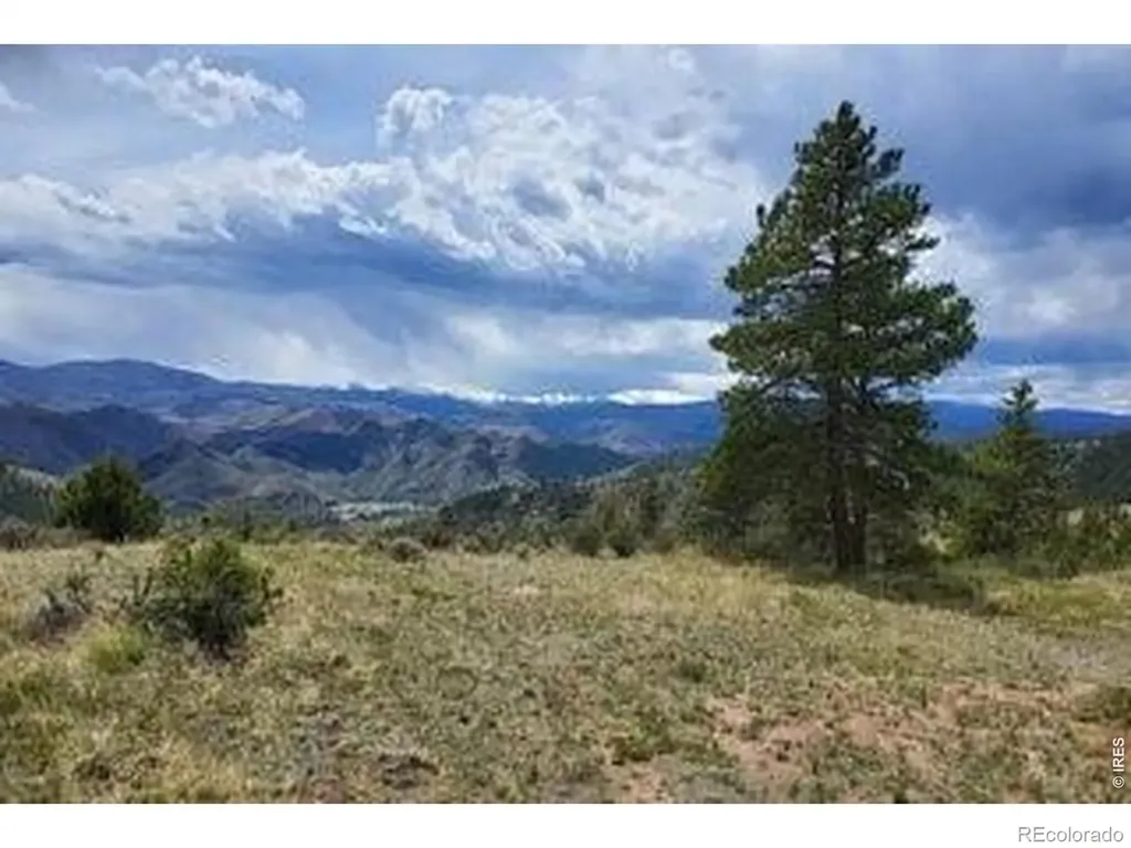 94 Culebra Peak Court Livermore CO 80536