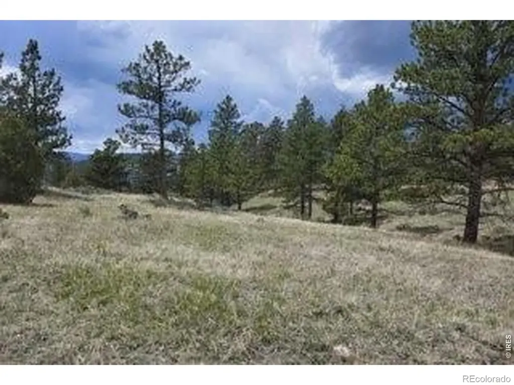 94 Culebra Peak Court Livermore CO 80536