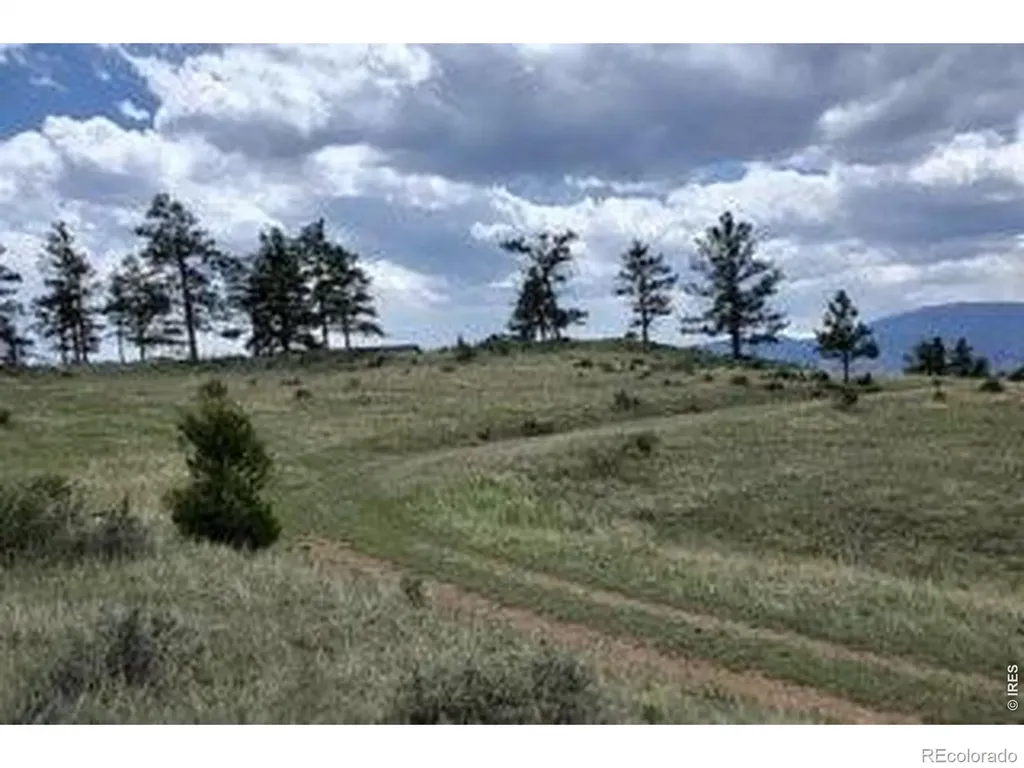 94 Culebra Peak Court Livermore CO 80536