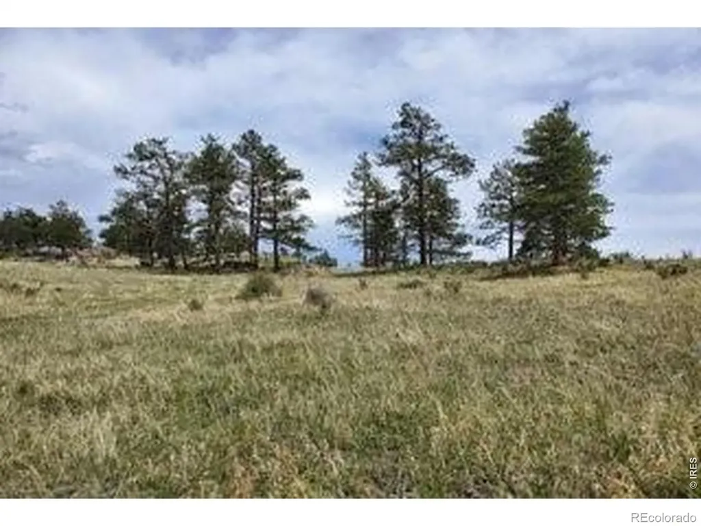 94 Culebra Peak Court Livermore CO 80536