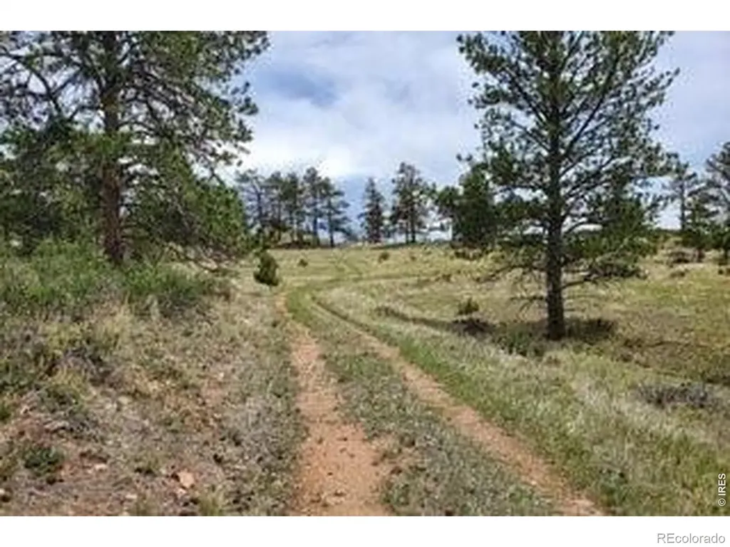 94 Culebra Peak Court Livermore CO 80536