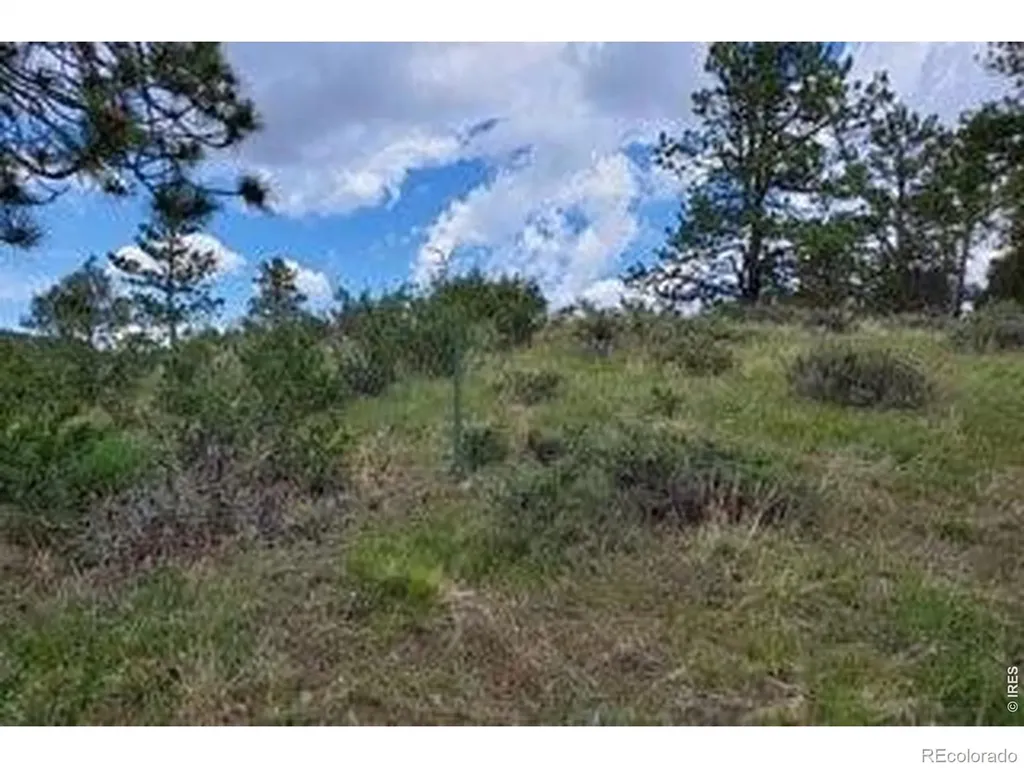 94 Culebra Peak Court Livermore CO 80536