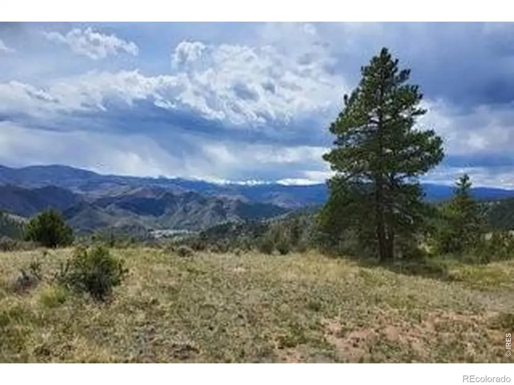 94 Culebra Peak Court Livermore CO 80536