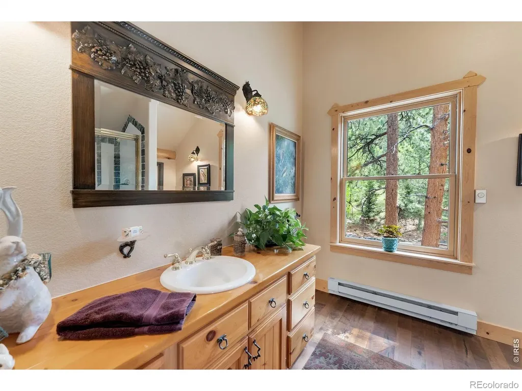 29700 S Sunset Trail Conifer CO 80433