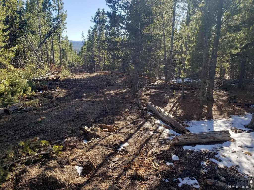 0 Forest Service 169 Lot #10 Road Red Feather Lakes CO 80545