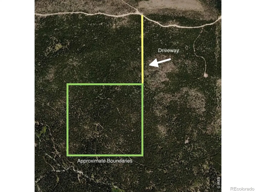 0 Forest Service 169 Lot #10 Road Red Feather Lakes CO 80545