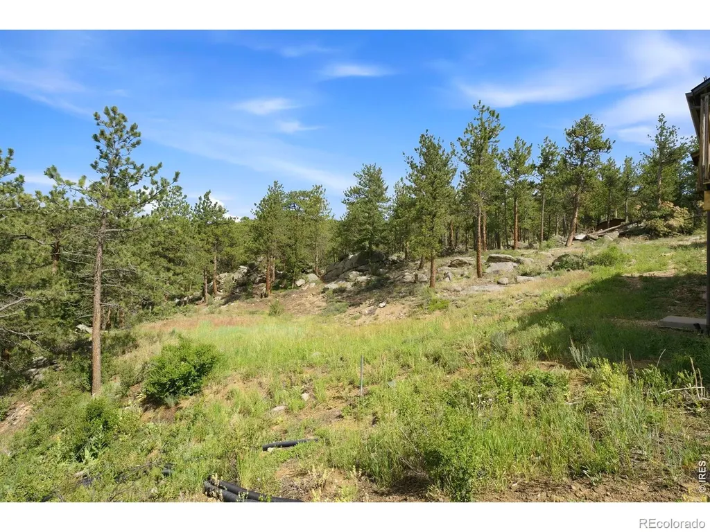 200 Rocky Knob Lane Nederland CO 80466