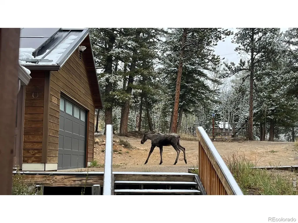 200 Rocky Knob Lane Nederland CO 80466