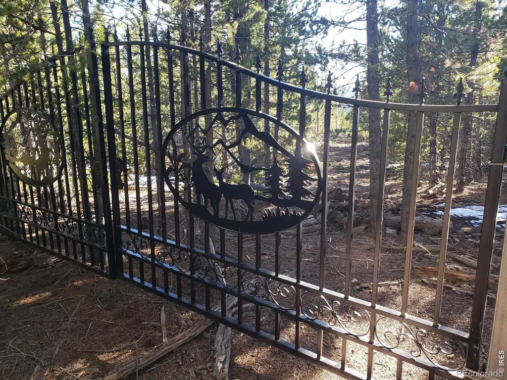 0 Forest Service 169 Lot #15 Road Red Feather Lakes CO 80545