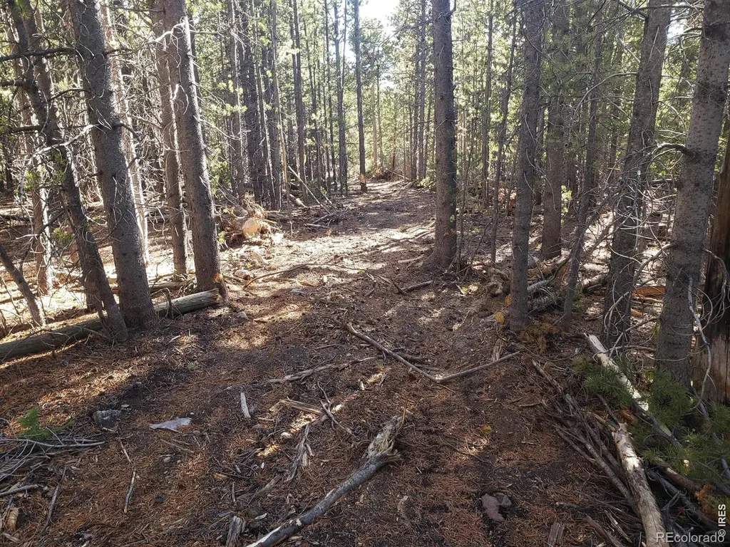 0 Forest Service 169 Lot #15 Road Red Feather Lakes CO 80545