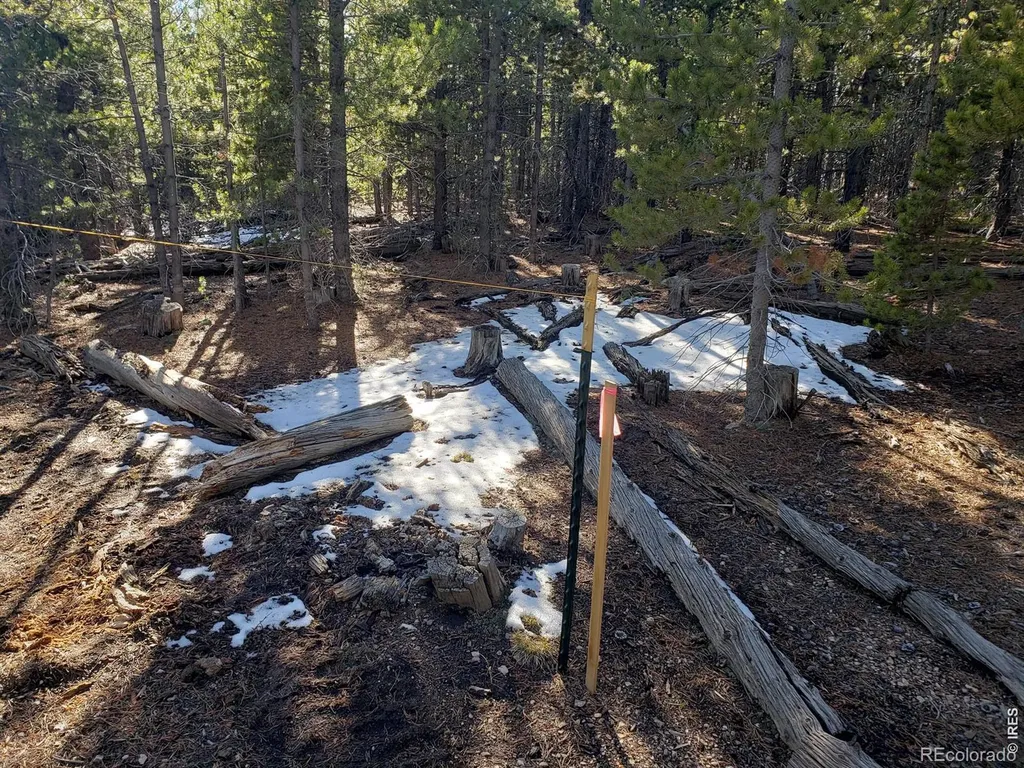 0 Forest Service 169 Lot #15 Road Red Feather Lakes CO 80545