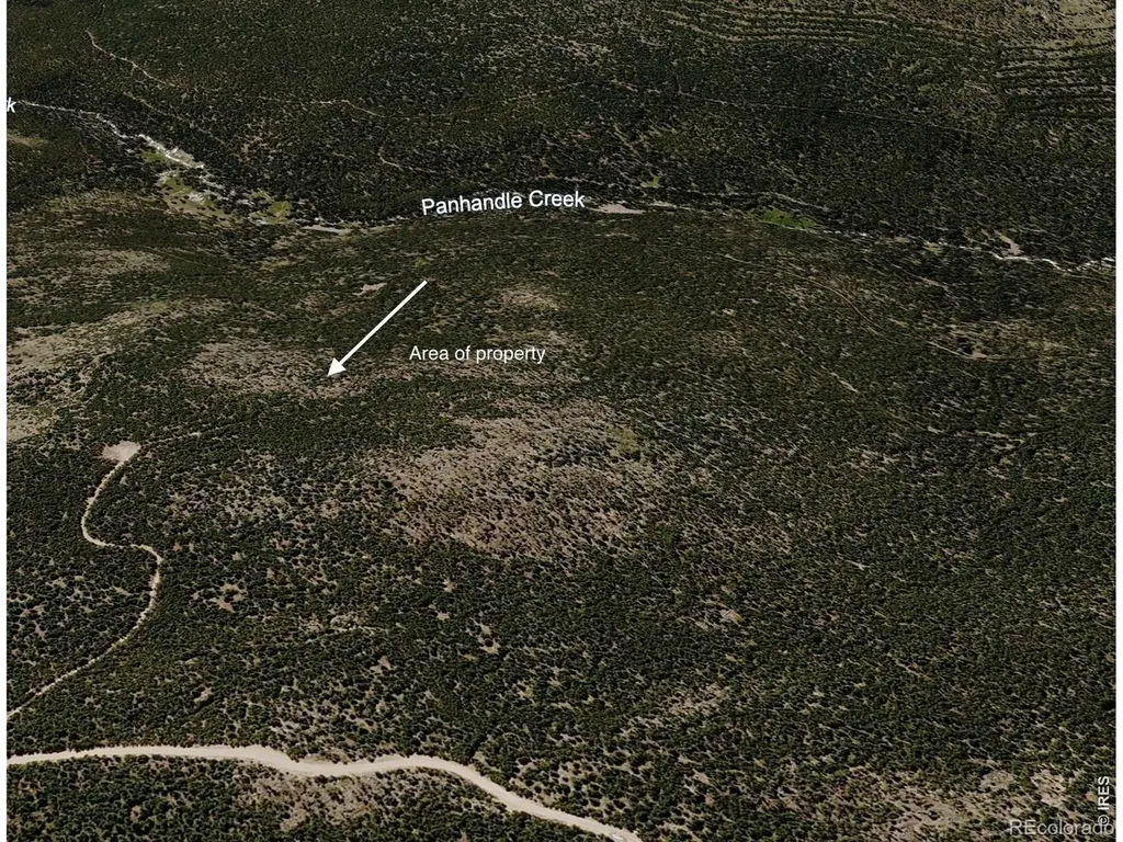 0 Forest Service 169 Lot #15 Road Red Feather Lakes CO 80545